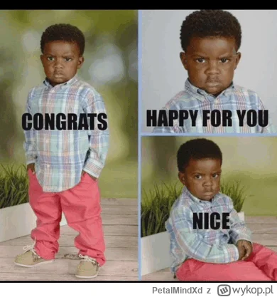 PetalMindXd - @Szczurzeinteresy: