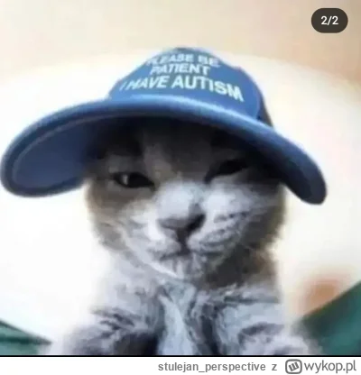 stulejan_perspective