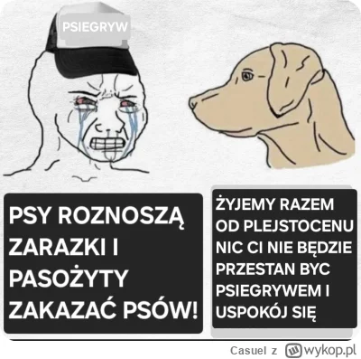Casuel - #psiarze #memy #heheszki