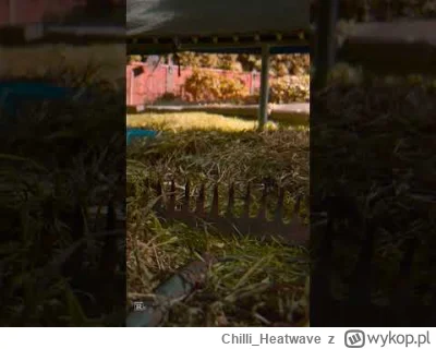 Chilli_Heatwave - @hans-kloss-23: