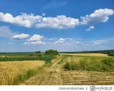 Gomorakazowa - #spierdotrip