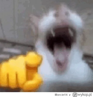 Morcin14 - Haha McLaren!
#f1