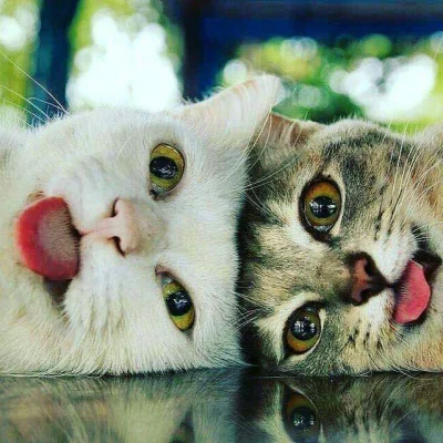 Moczymorda77 - @hotshops_pl: