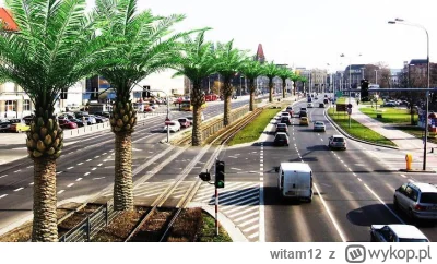 witam12 - Jedyny słuszny projekt WBO to Palmy na Legnickiej