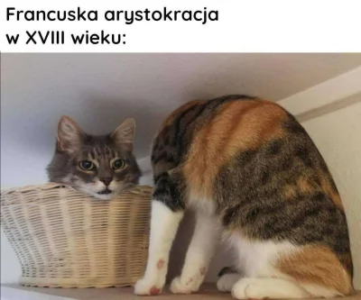 openordie - #memy #heheszki