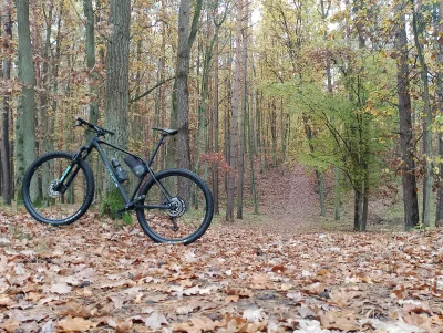 Robertuss - #rower #mtb #las #natura #polska #polskazlotajesien