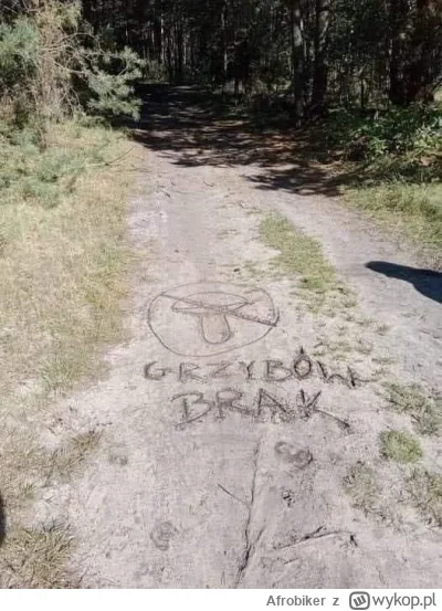 Afrobiker - #grzybobranie #grzyby 

O nie cwaniaczku! Nie ze mną takie numery ( ͡º ͜ʖ...