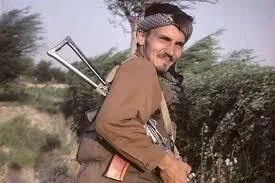 PingwinPikPok - On ma jaja od czasu Afganistanu.