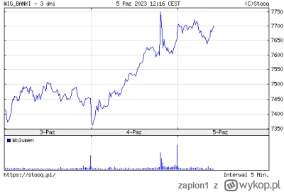 zaplon1 - Zobaczcie co stało się z kursem banków rano a o której był komunikat RPP. K...