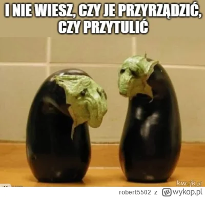 robert5502 - #humorobrazkowy #gotujzwykopem