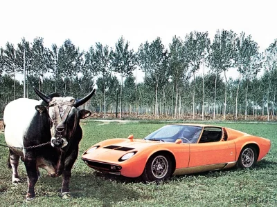 wfyokyga - Lambo miura z kruwkom