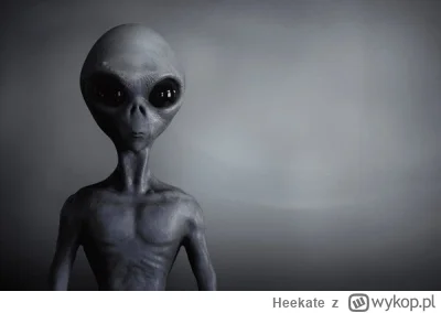 Heekate - Ostatnio mi się śniło, że n-------m szaraka. Czy te szare parobki mają jaki...