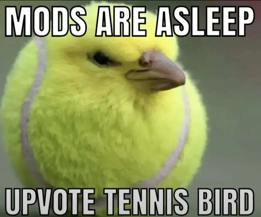 Revador - Siema Rumun, wyplusuj mi proszę to w gorące :)