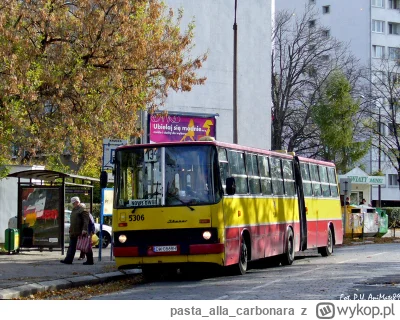 pastaallacarbonara - > Dwa autobusy tej samej linii które jechały jeden po drugim, 

...