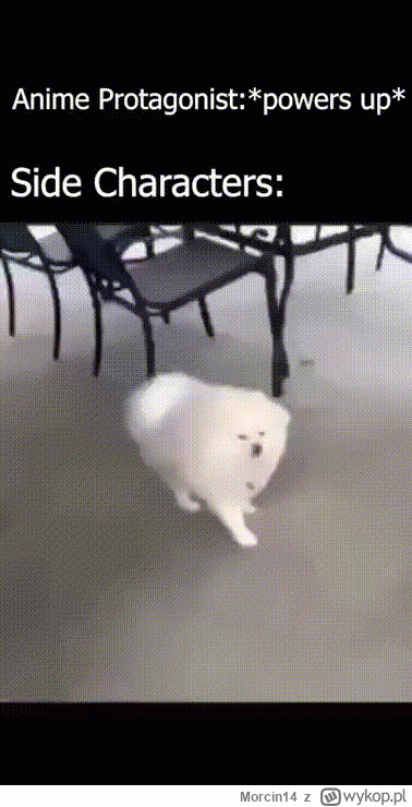 Morcin14 - #anime #heheszki #randomanimeshit