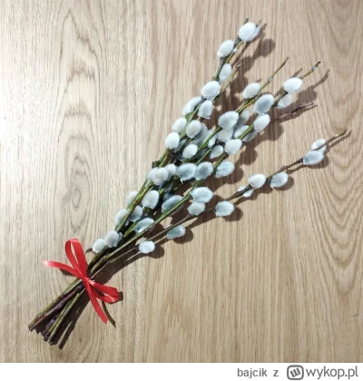 bajcik - @digoIek: to już wiem z czego wyrasta to