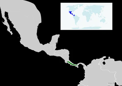 Lifelike - Zasięg występowania: