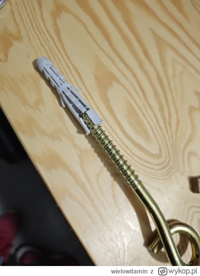 wielowitamin - W betonie się to uda? #budujzwykopem