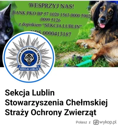 Polasz - @wykop14: pomagają i szukają pomocy dla bardzo wielu zwierzaczków. Bardzo ic...