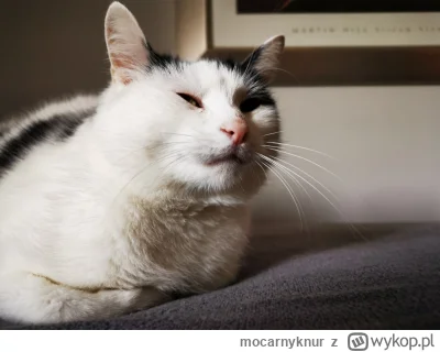 mocarnyknur - Bąbel