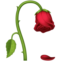 AudreyHorne51 - #famemma Pawełkowi niebawem zostanie tylko żebranie różyczek na tikto...