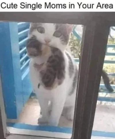 Neocaridina - @SatanWasa_Babyboomer: