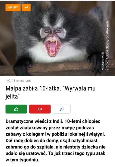 ManletSynJanusza - ale #!$%@? akcja 
#przegryw #zwierzaczki #swiat