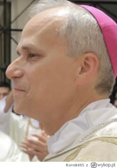 Kornik885 - #konklawe Leon XIV z profilu. Interpretację pozostawiam reszcie gojów