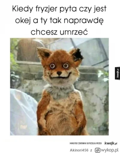 Akinori456 - Ja pierdziu... Co raz bardziej, znowu, nawiedzane są te myśli...
(╥﹏╥)

...