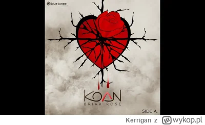 Kerrigan - Koan - Dream In Kaiser Gardens
#muzyka #mirkoelektronika #ambient #downtem...