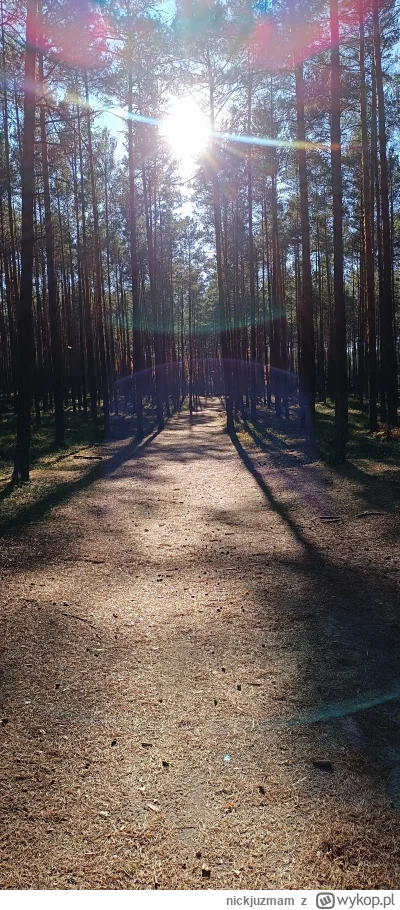 nickjuzmam - Nareszcie trochę wolnego, można wyjechać na #roztocze #polska
i jest pus...