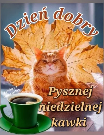 DrBarrel - @MrRedz: ( ͡° ͜ʖ ͡°)