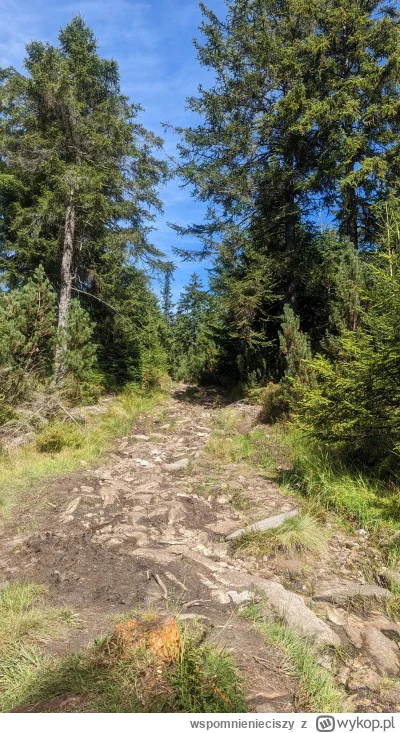 wspomnienieciszy - @Dominias: Pogoda idealna ale od pon-pt to standard.
W tym roku by...