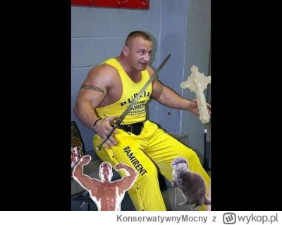 KonserwatywnyMocny - https://www.youtube.com/watch?v=EqODkUG8OlI&list=LL&index=750
XD...