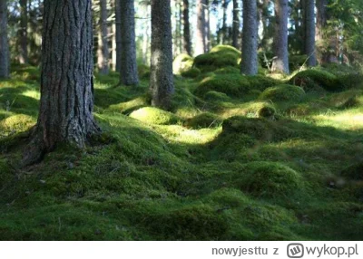 n.....u - Las Las Las