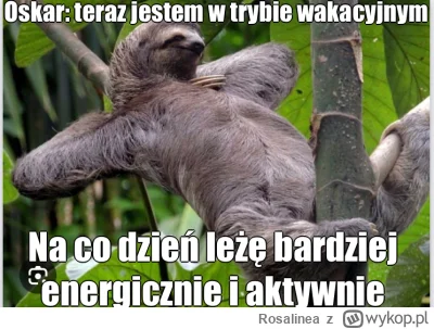 Rosalinea - #hotelparadise @cmdenergy: 

Oskar dostaje wypokowego „Oscara” za aktywno...