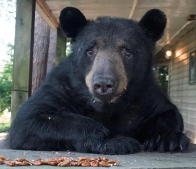 wfyokyga - Synek popacz mi się prosto w oczy i powiedz że nie masz konta na portalu w...