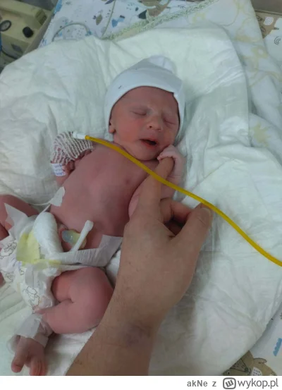 akNe - #zdrowietadzia

Od kilku godzin Tadeusz jest już z nami. Jeszcze go nie widzia...