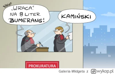 Galeria-Widgeta - Rys. Widget

#kaminski #pis #prokuratura #prawo #polityka