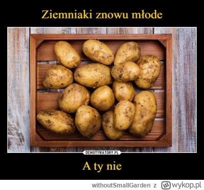 withoutSmallGarden - #heheszki #humorobrazkowy #takaprawda