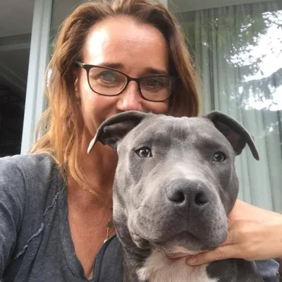 STALKER_ - #psiarze #psy #patologiazmiasta