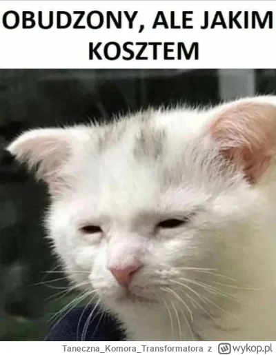 TanecznaKomoraTransformatora - Przysnęło mi się na kanapie wczoraj. Witam i serdeczni...