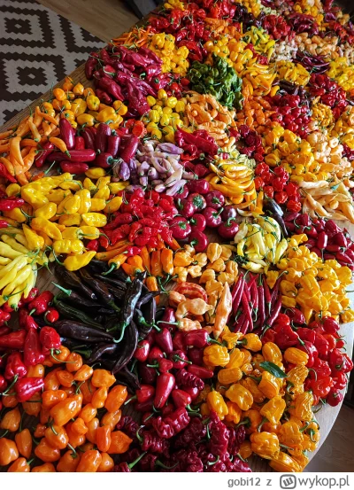 gobi12 - Ostatnie #rozdajo zestawów degustacyjnych chili w tym roku! 

Tym razem praw...