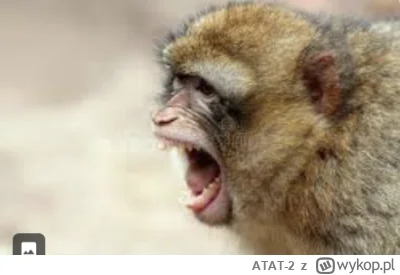 ATAT-2 - @trebeter: @CarlChryniszzswics