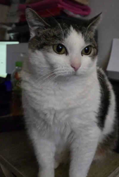 Solsith - @czlowiekbutelka: jak się spi 18 godzin ( ͡° ͜ʖ ͡°)