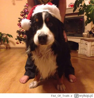 FistOfTruth - Czy ktoś pomógłby mi ogarnąć poniższe zdjęcie?

Potrzebuję wyodrębnić p...