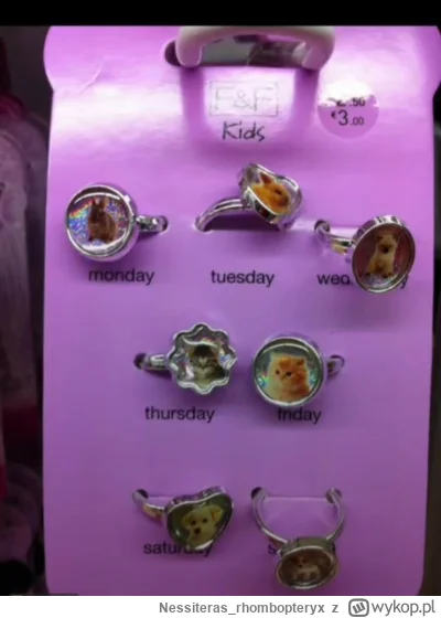 Nessiteras_rhombopteryx - #kidcore