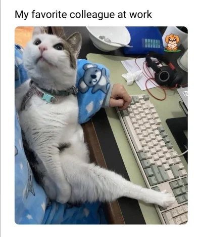 wybryk_natury - #zlodziejskiewybryki