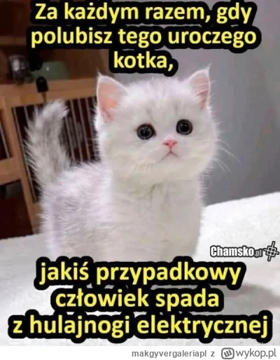 makgyvergaleriapl - @Sonny86