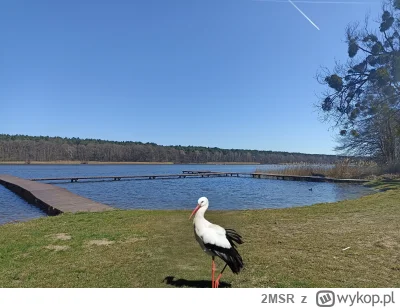 2MSR - @Baczny_Obserwator Kazałem mu wrócić i już go masz